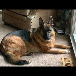 Meet your Posher, Connor